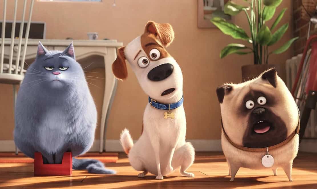 23. The Secret Life of Pets (2016)